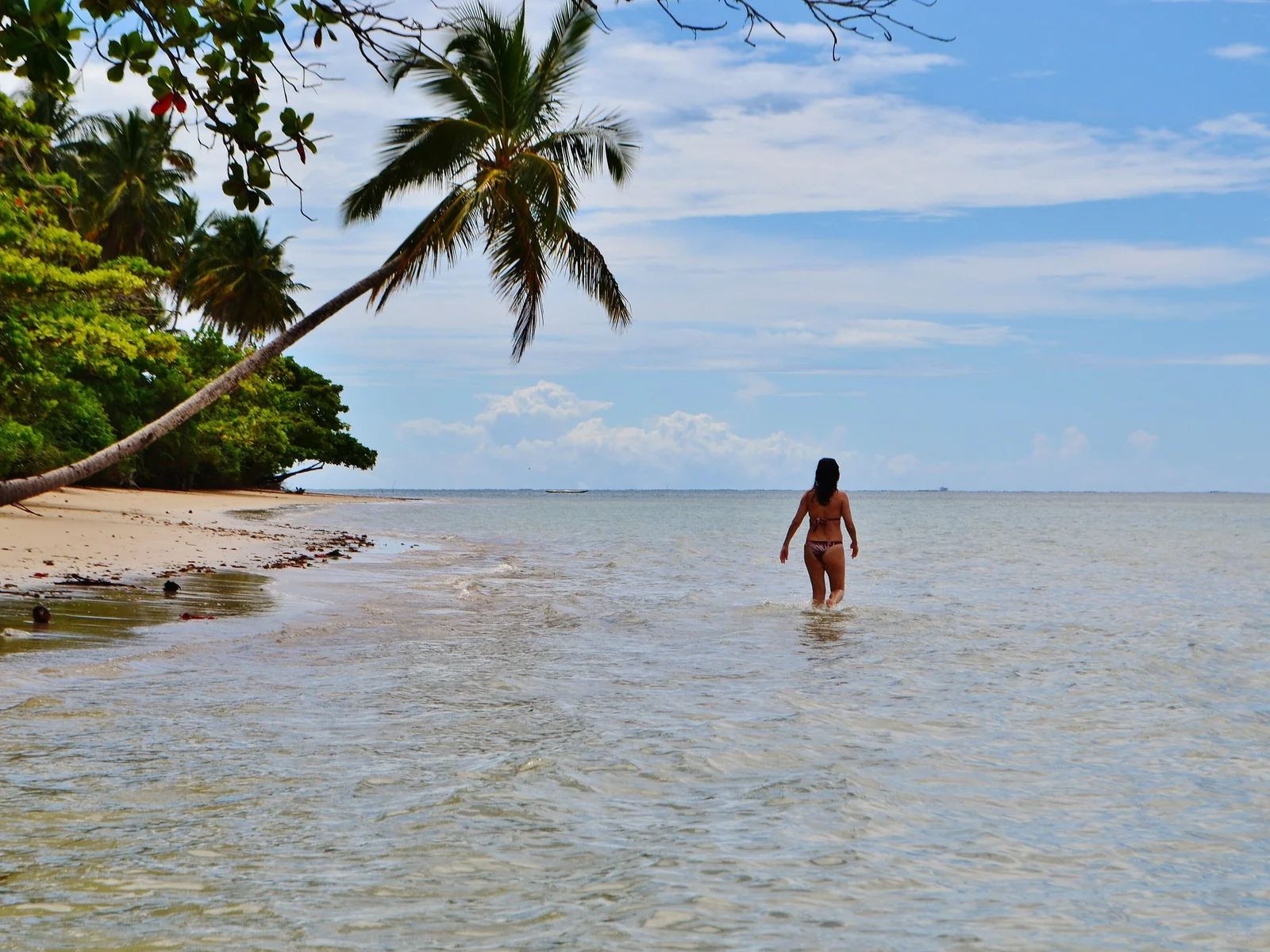 Moreré - Boipeba.JPG