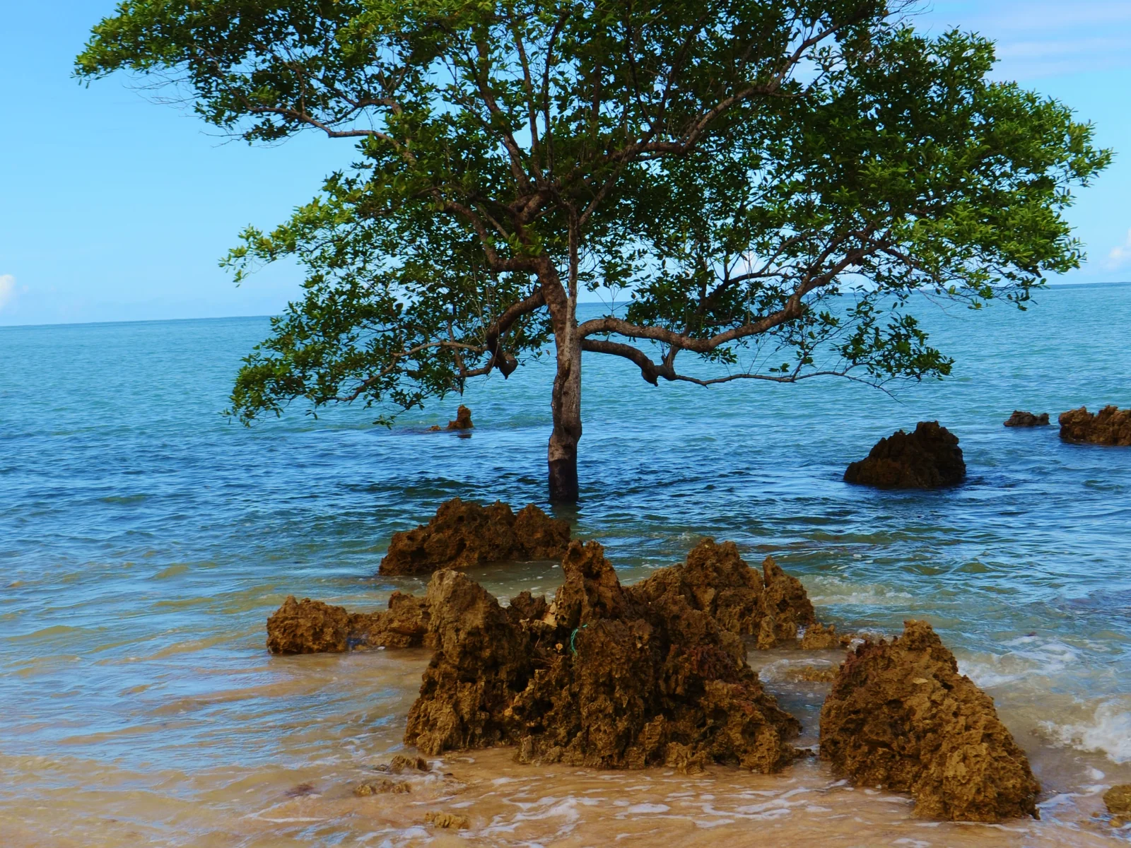 Boipeba - praia Moreré.JPG