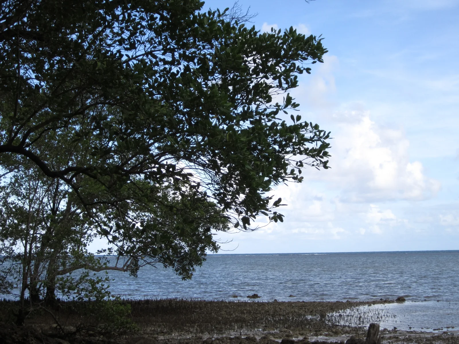 Boipeba, Cairu, Bahia, Brasil.jpg