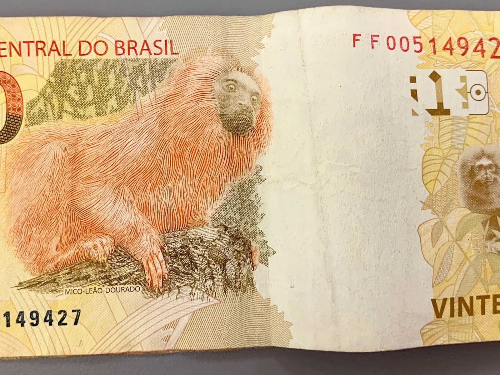 20 Brazilian Real banknote featuring a Golden Lion Tamarin monkey.jpg